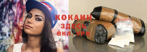 Альфа ПВП Бородино