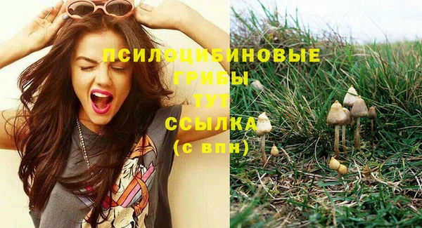 прущая мука Бронницы