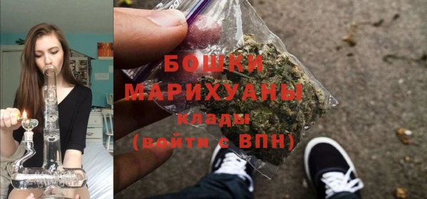 Альфа ПВП Бородино