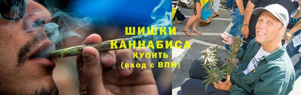 Альфа ПВП Бородино