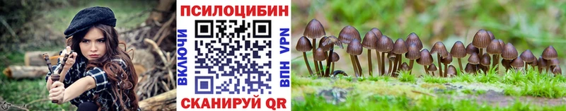 Псилоцибиновые грибы MAGIC MUSHROOMS  Бугуруслан 