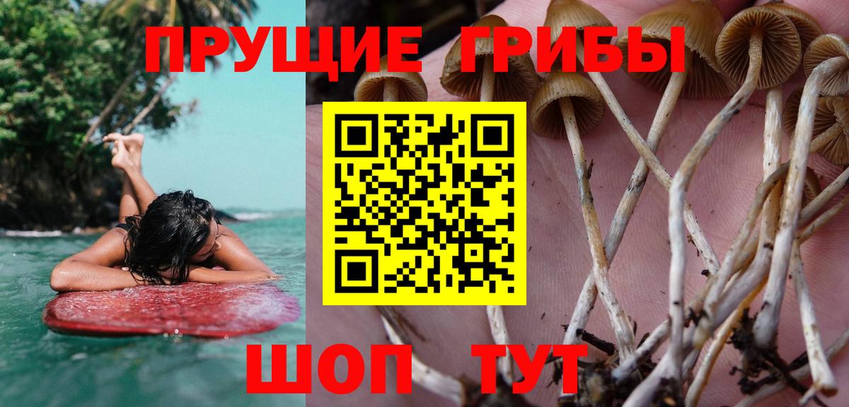 Галлюциногенные грибы мицелий Бугуруслан