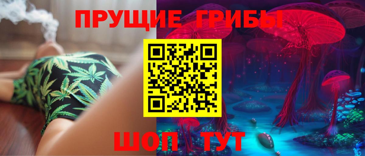 Псилоцибиновые грибы Psilocybine cubensis  Псилоцибиновые грибы мухоморы  Бугуруслан  Вход с VPN 